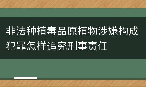 非法种植毒品原植物涉嫌构成犯罪怎样追究刑事责任