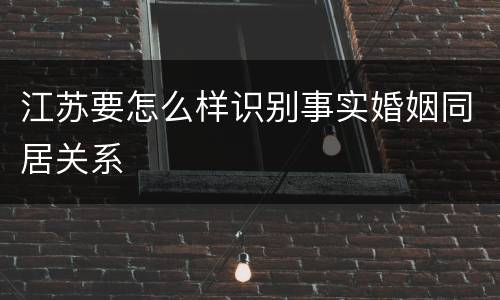 江苏要怎么样识别事实婚姻同居关系