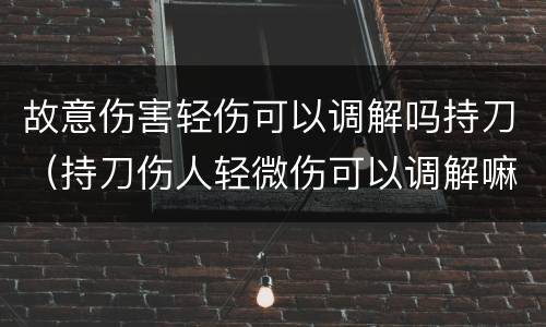 故意伤害轻伤可以调解吗持刀（持刀伤人轻微伤可以调解嘛）