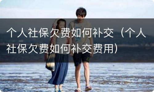 个人社保欠费如何补交（个人社保欠费如何补交费用）