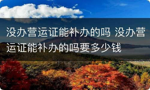 没办营运证能补办的吗 没办营运证能补办的吗要多少钱