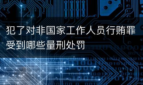 犯了对非国家工作人员行贿罪受到哪些量刑处罚