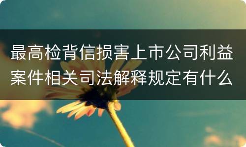最高检背信损害上市公司利益案件相关司法解释规定有什么重要内容
