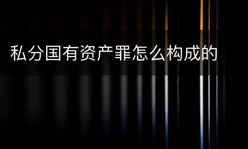 私分国有资产罪怎么构成的