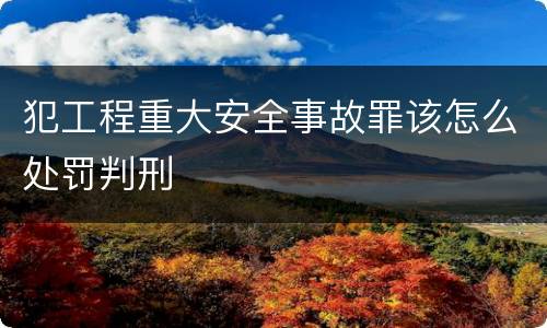 犯工程重大安全事故罪该怎么处罚判刑