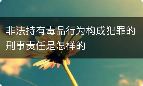 非法持有毒品行为构成犯罪的刑事责任是怎样的