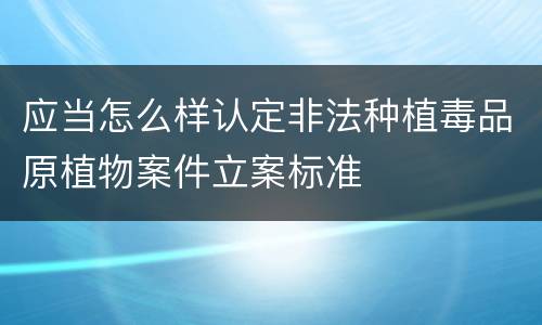 应当怎么样认定非法种植毒品原植物案件立案标准