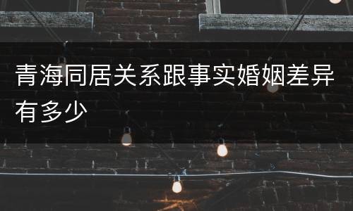 青海同居关系跟事实婚姻差异有多少