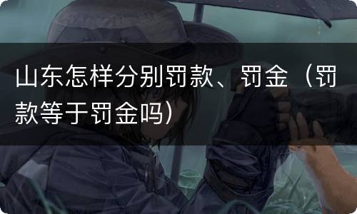 山东怎样分别罚款、罚金（罚款等于罚金吗）