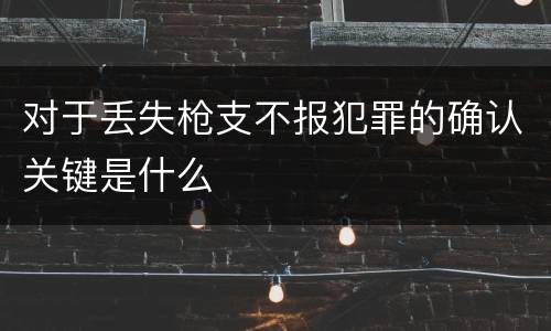 对于丢失枪支不报犯罪的确认关键是什么