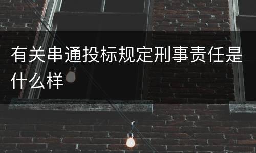 有关串通投标规定刑事责任是什么样