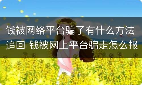 钱被网络平台骗了有什么方法追回 钱被网上平台骗走怎么报案