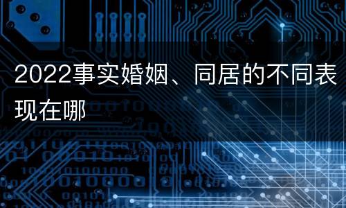 2022事实婚姻、同居的不同表现在哪