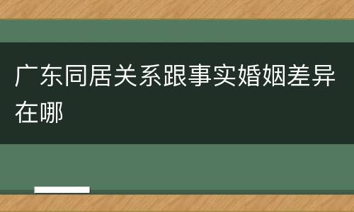 广东同居关系跟事实婚姻差异在哪