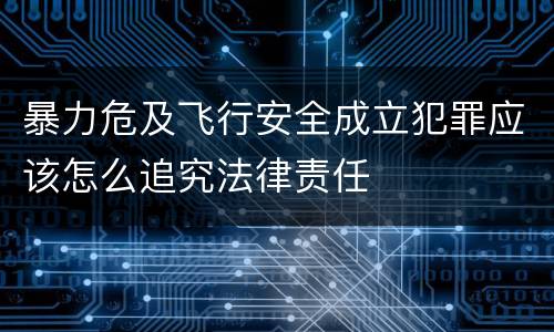 暴力危及飞行安全成立犯罪应该怎么追究法律责任