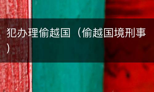 犯办理偷越国（偷越国境刑事）