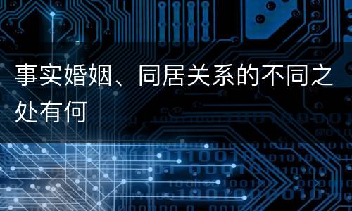 事实婚姻、同居关系的不同之处有何