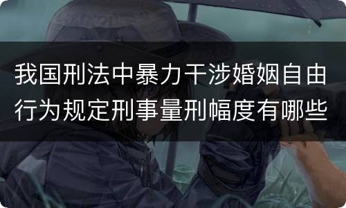 我国刑法中暴力干涉婚姻自由行为规定刑事量刑幅度有哪些
