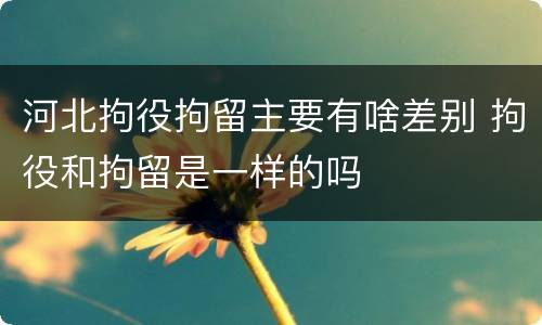 河北拘役拘留主要有啥差别 拘役和拘留是一样的吗