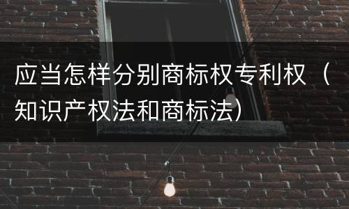 应当怎样分别商标权专利权（知识产权法和商标法）