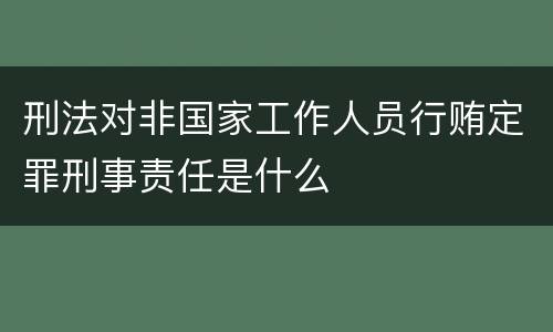 刑法对非国家工作人员行贿定罪刑事责任是什么