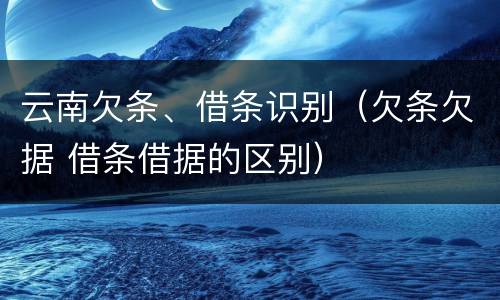 云南欠条、借条识别（欠条欠据 借条借据的区别）