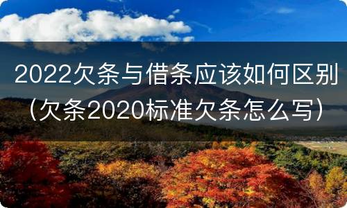 2022欠条与借条应该如何区别（欠条2020标准欠条怎么写）