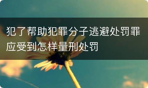 犯了帮助犯罪分子逃避处罚罪应受到怎样量刑处罚