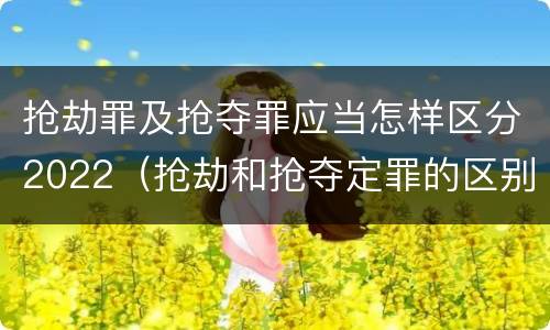 抢劫罪及抢夺罪应当怎样区分2022（抢劫和抢夺定罪的区别）