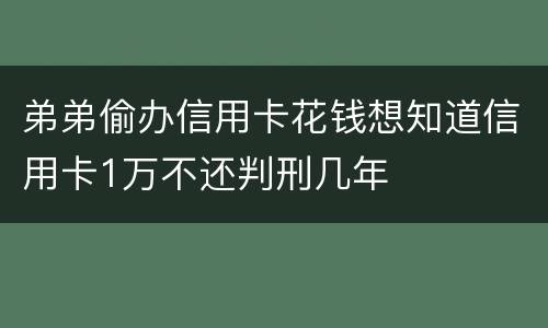 弟弟偷办信用卡花钱想知道信用卡1万不还判刑几年