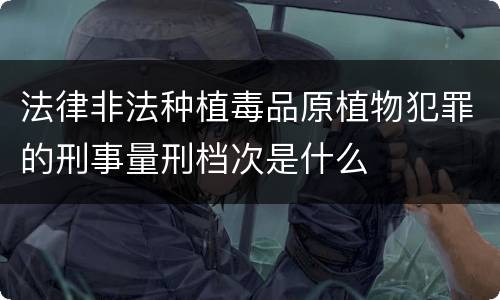 法律非法种植毒品原植物犯罪的刑事量刑档次是什么