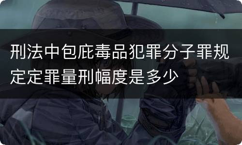 刑法中包庇毒品犯罪分子罪规定定罪量刑幅度是多少