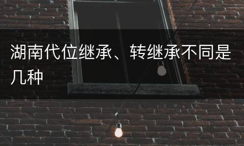 湖南代位继承、转继承不同是几种