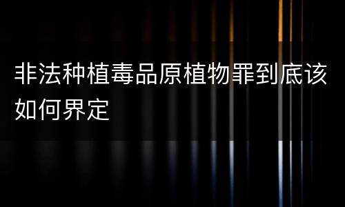 非法种植毒品原植物罪到底该如何界定