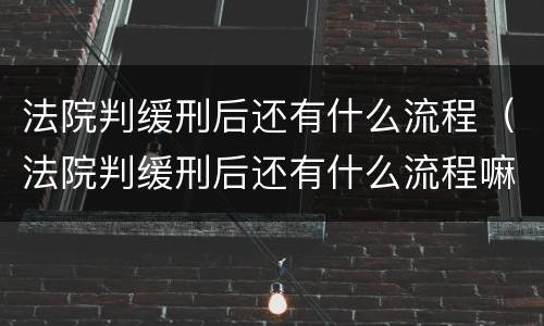 法院判缓刑后还有什么流程（法院判缓刑后还有什么流程嘛）