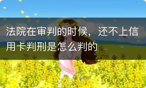 法院在审判的时候，还不上信用卡判刑是怎么判的