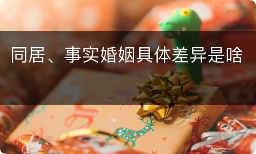 同居、事实婚姻具体差异是啥