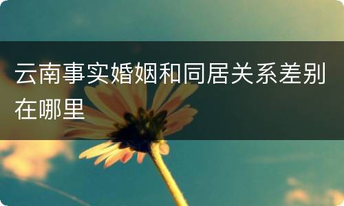 云南事实婚姻和同居关系差别在哪里
