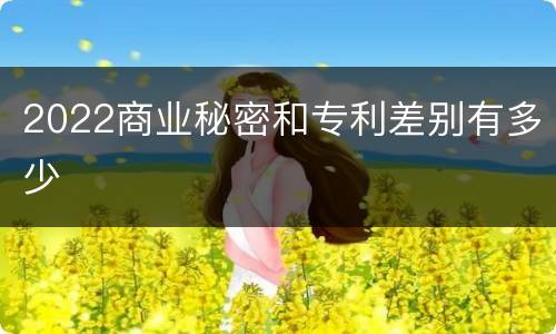 2022商业秘密和专利差别有多少
