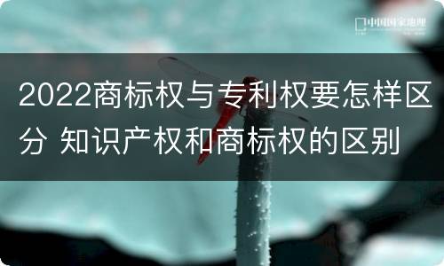 2022商标权与专利权要怎样区分 知识产权和商标权的区别