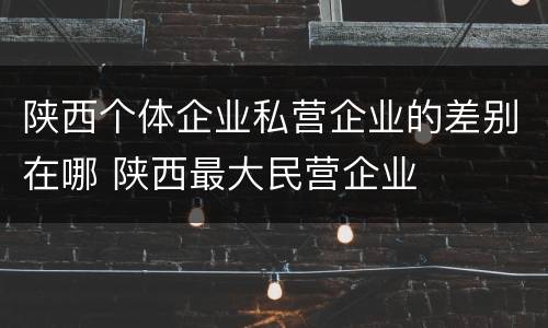 陕西个体企业私营企业的差别在哪 陕西最大民营企业