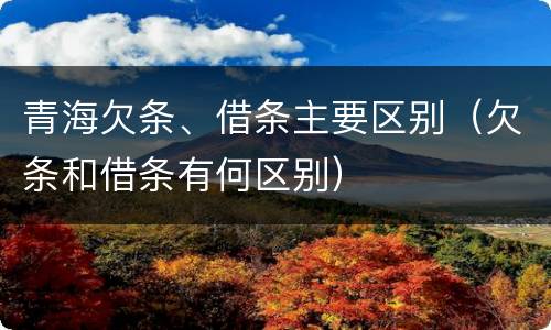 青海欠条、借条主要区别（欠条和借条有何区别）