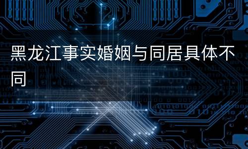 黑龙江事实婚姻与同居具体不同