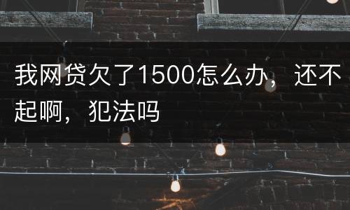 我网贷欠了1500怎么办，还不起啊，犯法吗