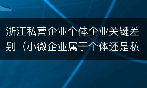 浙江私营企业个体企业关键差别（小微企业属于个体还是私营）