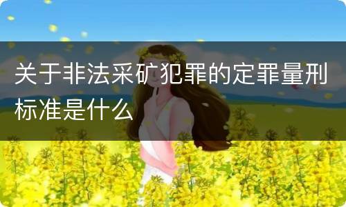 关于非法采矿犯罪的定罪量刑标准是什么