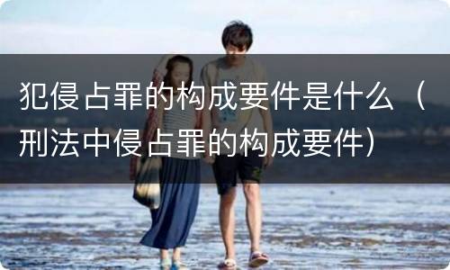 犯侵占罪的构成要件是什么（刑法中侵占罪的构成要件）