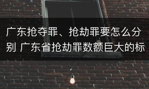 广东抢夺罪、抢劫罪要怎么分别 广东省抢劫罪数额巨大的标准