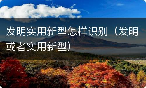发明实用新型怎样识别（发明或者实用新型）