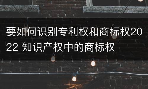要如何识别专利权和商标权2022 知识产权中的商标权